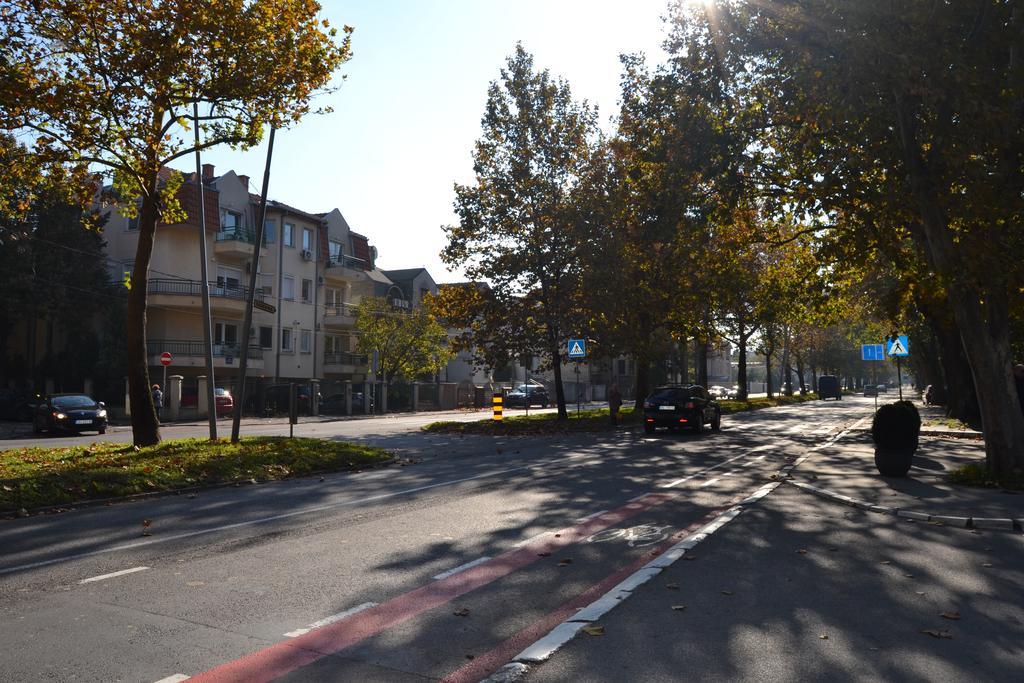 Villa K Apartments Beograd Værelse billede